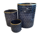 Blue Dot Embossed Containers w/ Gold Rim (Various Sizes)