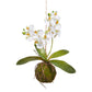 15" Real Touch White Orchid w/ Moss Ball