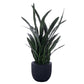 47" Sansevieria Potted Plant