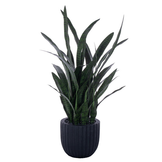 47" Sansevieria Potted Plant