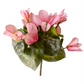 Bouquet of pink flowers with green leaves on a white background.