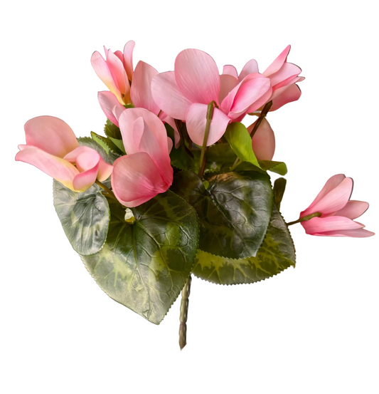 Bouquet of pink flowers with green leaves on a white background.