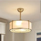 Ashley Light Fixture with Hidden Ceiling Fan