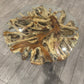 Live Edge Teak Root Coffee Table