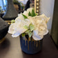 Cream Peony Sit Around in Black and Gold Container