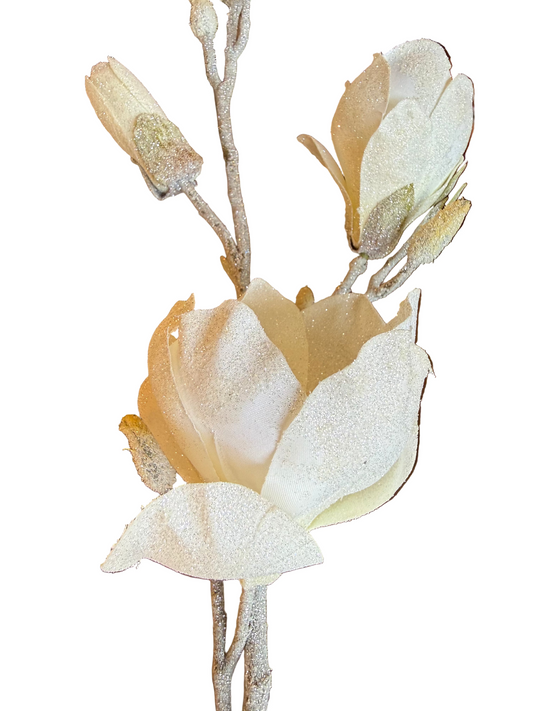 32" Frosted Magnolia Spray, Cream