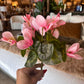 9" UV Protected Cyclamen Bush, Light Pink