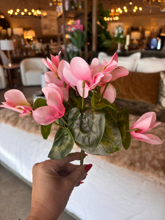 9" UV Protected Cyclamen Bush, Light Pink