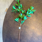 25" BUCKEYE TREE BRANCH