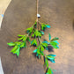 25" BUCKEYE TREE BRANCH