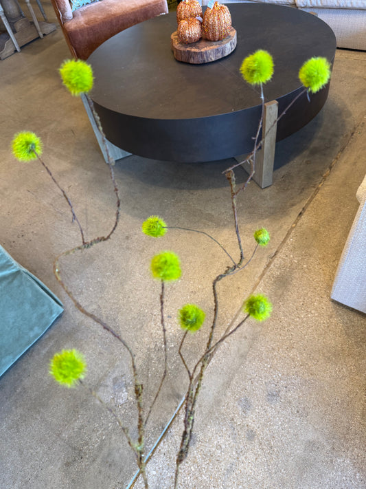 40" Moss Ball Branch