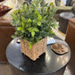 13" Herb in Woven Basket (Various Styles)