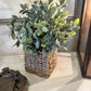 13" Herb in Woven Basket (Various Styles)