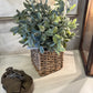 13" Herb in Woven Basket (Various Styles)