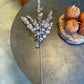36" Brown Eucalyptus Stem