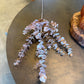 36" Brown Eucalyptus Stem