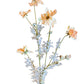 Dried Cosmos, Peach