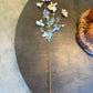 Dried Cosmos, Peach
