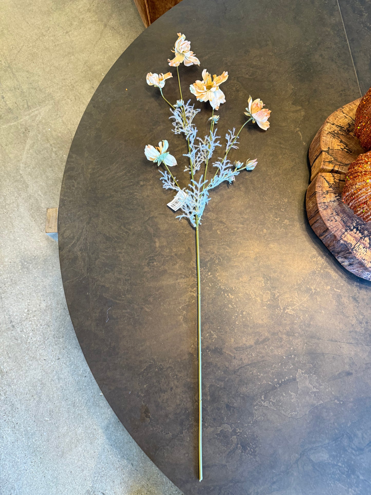Dried Cosmos, Peach