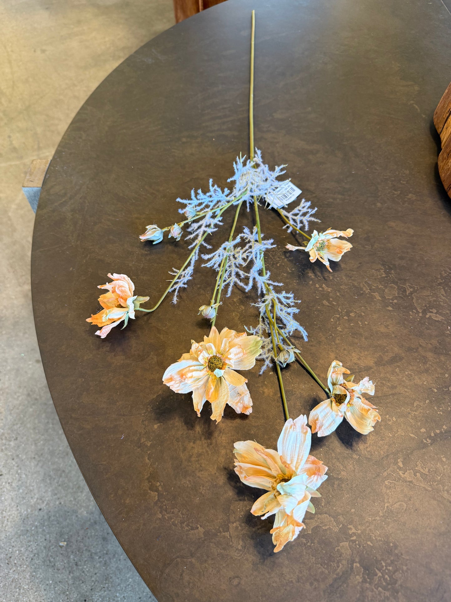 Dried Cosmos, Peach