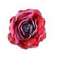 28" Rose Stem, Burgandy