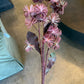 41" Burgundy w/ Green Eva Spike Ball Spray