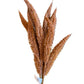 25" Millet Bundle, Rust