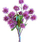 19" Spikey Ball Bundle Fuschia