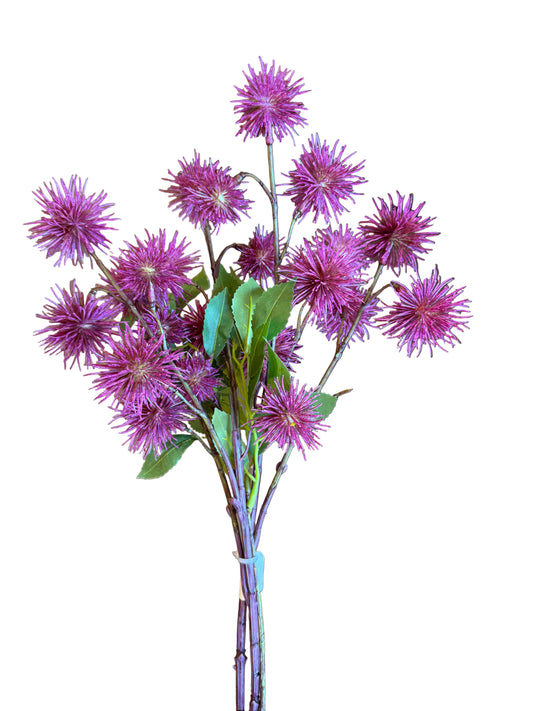 19" Spikey Ball Bundle Fuschia