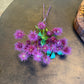 19" Spikey Ball Bundle Fuschia