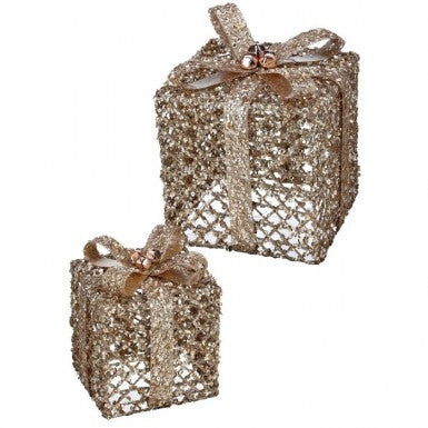 Champagne Gold Metal Gift Boxes, Set of 2
