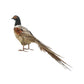 20" Feather Pheasant w/ Tail