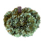 Decorative green pine cone ball on a wooden surface with a white textured background