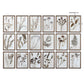 Botany Gallery Prints, Set of 18