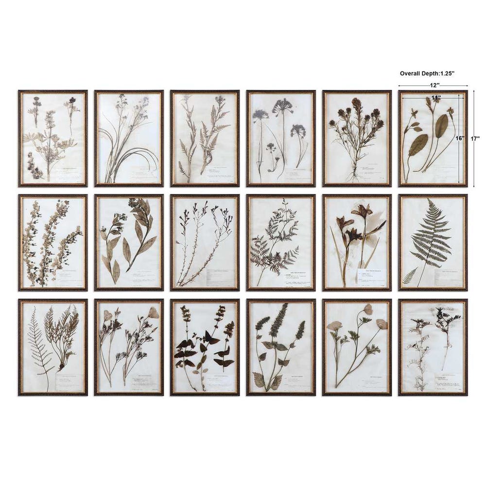 Botany Gallery Prints, Set of 18