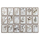 Set of framed botanical prints on a white background