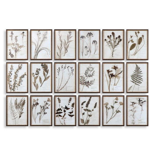 Botany Gallery Prints, Set of 18