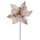 20" Champagne Velvet Striped Poinsettia