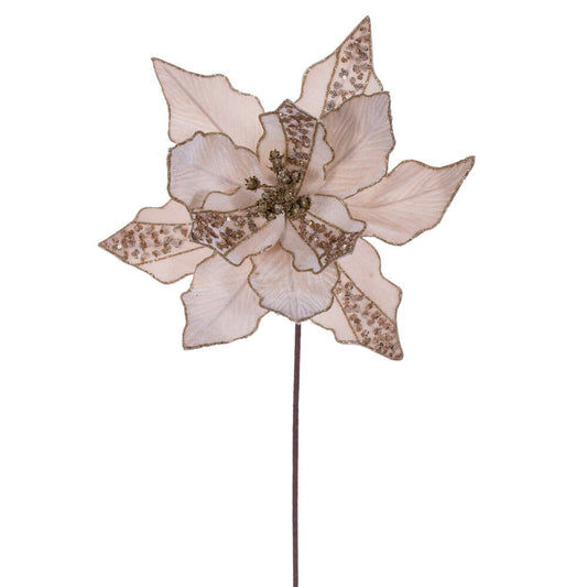20" Champagne Velvet Striped Poinsettia