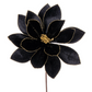 22" Black Velvet Sheen w/Gold Glitter Trim Poinsettia