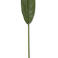 31" Peace Lily Leaf Stem