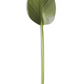 22" Fig Leaf Stem