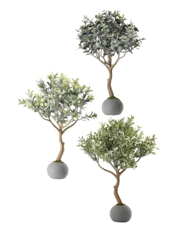 Boxwood Topiary in Cement Ball