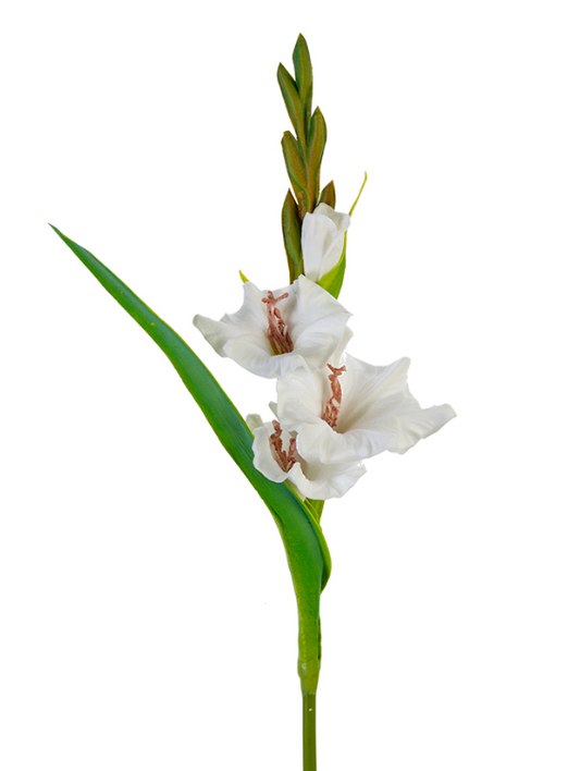 22" Gladiolus Spray, White