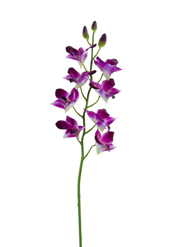 27" Real Touch Dendrobium Orchid, Purple