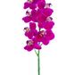 24" Phalaenopsis Orchid, Fuchsia