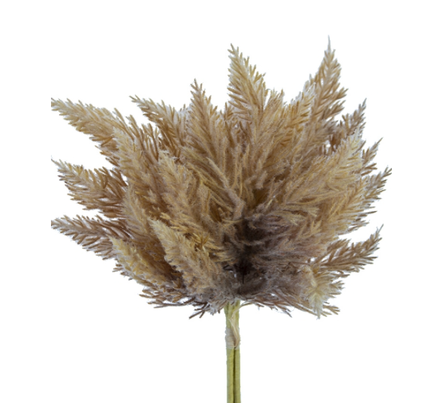 14" Pampas Bundle, Beige Brown