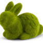 Assorted Green Mossy Bunnies