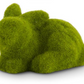 Assorted Green Mossy Bunnies