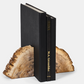 Petrified Wood Bookends, Set of 2